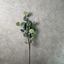 Load image into Gallery viewer, Eucalyptus with Fruit Artificial Greenery 66cm Stem EUCALYPTUS0001
