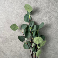 Load image into Gallery viewer, Eucalyptus with Fruit Artificial Greenery 66cm Stem EUCALYPTUS0001
