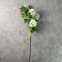 Load image into Gallery viewer, Snowball 5 Heads Artificial Silk Flower 78cm SNOWBALL001-003
