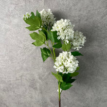 Load image into Gallery viewer, Snowball 5 Heads Artificial Silk Flower 78cm SNOWBALL001-003
