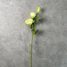 Load image into Gallery viewer, Lisianthus Artificial Silk Flower 70cm Stem LISIAN009-012
