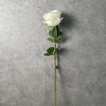 Load image into Gallery viewer, Rose Austin 72cm Artificial Silk Flower White ROSEAUSTIN059
