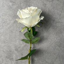 Load image into Gallery viewer, Rose Austin 72cm Artificial Silk Flower White ROSEAUSTIN059
