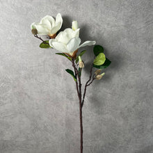 Load image into Gallery viewer, Magnolia Artificial Silk Flowers 70cm Stem MAGONILIA008-010
