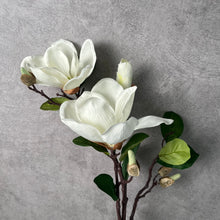 Load image into Gallery viewer, Magnolia Artificial Silk Flowers 70cm Stem MAGONILIA008-010

