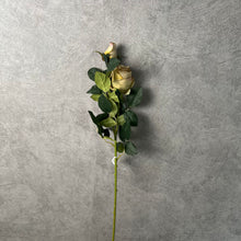 Load image into Gallery viewer, Rose Champagne
