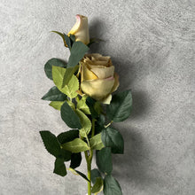 Load image into Gallery viewer, Rose Champagne
