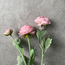 Load image into Gallery viewer, Ranunculus Pink
