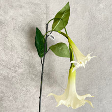 Load image into Gallery viewer, Datura White
