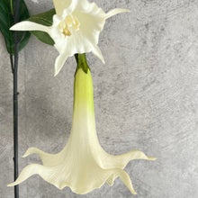 Load image into Gallery viewer, Datura White
