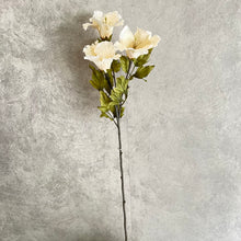 Load image into Gallery viewer, Hibiscus Cream
