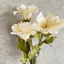 Load image into Gallery viewer, Hibiscus Cream
