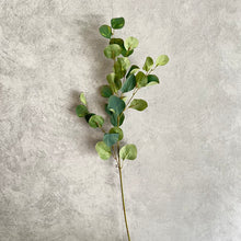 Load image into Gallery viewer, Eucalyptus Artificial Greenery 90cm Stem Green EUCALYPTUS012
