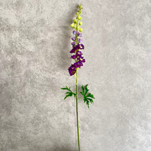 Load image into Gallery viewer, Delphinium Purple
