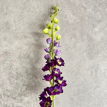 Load image into Gallery viewer, Delphinium Purple
