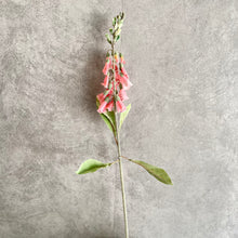 Load image into Gallery viewer, Digitalis Artificial Flower Stem Yellow DIGITALIS001-6
