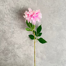 Load image into Gallery viewer, Dahlia Pink
