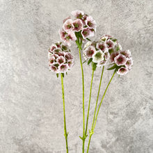 Load image into Gallery viewer, Pristimera Cambodiana Artificial Flower Blush Pink PRISTIMERACAMBODIANA003
