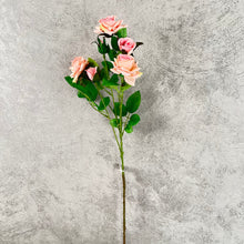 Load image into Gallery viewer, Rosespray Peach Pink
