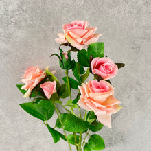 Load image into Gallery viewer, Rosespray Peach Pink

