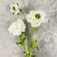 Load image into Gallery viewer, Ranunculs0001
