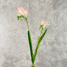Load image into Gallery viewer, Freesia Artificial Silk Flower 70cm Pink FREESIA002
