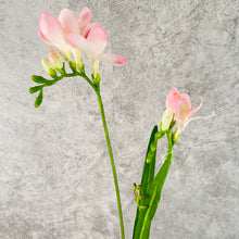 Load image into Gallery viewer, Freesia Artificial Silk Flower 70cm Pink FREESIA002
