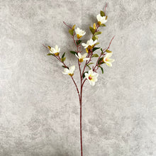 Load image into Gallery viewer, Magnolia0011 White
