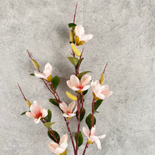Load image into Gallery viewer, Magnolia0012 pink
