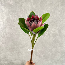 Load image into Gallery viewer, King Protea Artificial Flowers Stem PROTEA0001-0003
