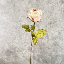 Load image into Gallery viewer, Rose0012 Pink Champagne
