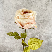 Load image into Gallery viewer, Rose0012 Pink Champagne
