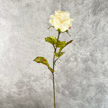 Load image into Gallery viewer, Rose0013 White
