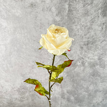 Load image into Gallery viewer, Rose0013 White
