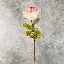 Load image into Gallery viewer, Rose0011 Pink Painting
