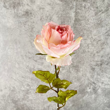 Load image into Gallery viewer, Rose0011 Pink Painting
