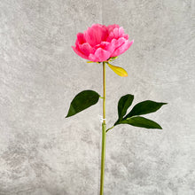Load image into Gallery viewer, Peony Single Heads Artificial Flower Pink PEONY0010
