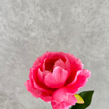 Load image into Gallery viewer, Peony Single Heads Artificial Flower Pink PEONY0010
