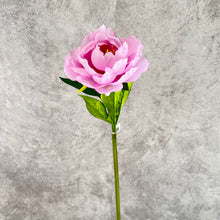 Load image into Gallery viewer, Peony Single Heads Artificial Flower Pink PEONY0010
