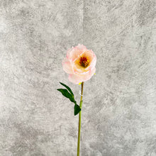 Load image into Gallery viewer, Peony Single Heads Artificial Flower Pink PEONY0010
