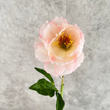 Load image into Gallery viewer, Peony Single Heads Artificial Flower Pink PEONY0010
