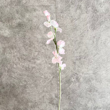 Load image into Gallery viewer, Sweet Pea Artificial Silk Flower 62cm Light Pink SWEETPEA005
