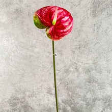 Load image into Gallery viewer, Anthuriums Artificial Silk Flowers Stem ANTHURIUM001-003
