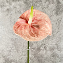 Load image into Gallery viewer, Anthuriums Artificial Silk Flowers Stem ANTHURIUM001-003

