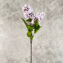 Load image into Gallery viewer, Lilac021 Light Purple
