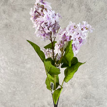 Load image into Gallery viewer, Lilac021 Light Purple
