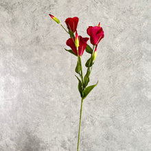Load image into Gallery viewer, Lisianthus004 Burgundy
