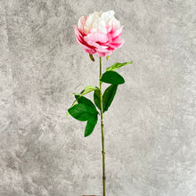 Load image into Gallery viewer, Peony Single Heads Artificial Flower Stem 5 color Selection
