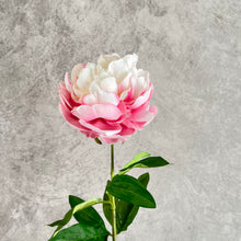 Load image into Gallery viewer, Peony Single Heads Artificial Flower Stem 5 color Selection
