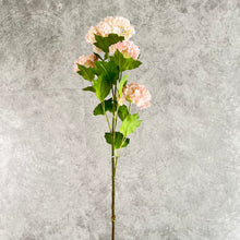 Load image into Gallery viewer, Hydrangea115 Pink
